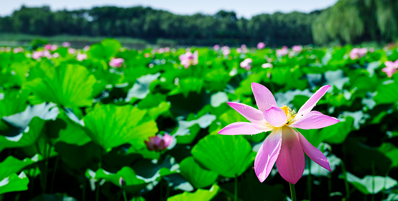 云顶国际(Malaysia)集团官方网站