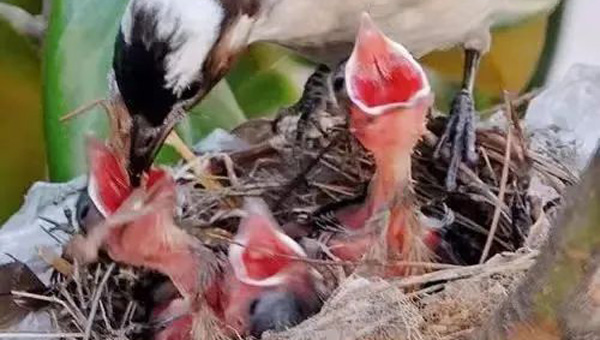 15d5cbdce8a30ed7b60b2e56c5431941