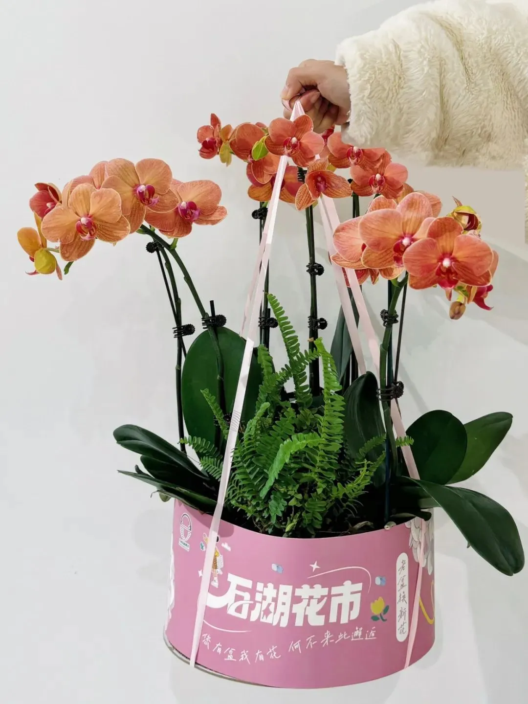 3fa333f8af5f3603357baae9682f9995 9.jpg