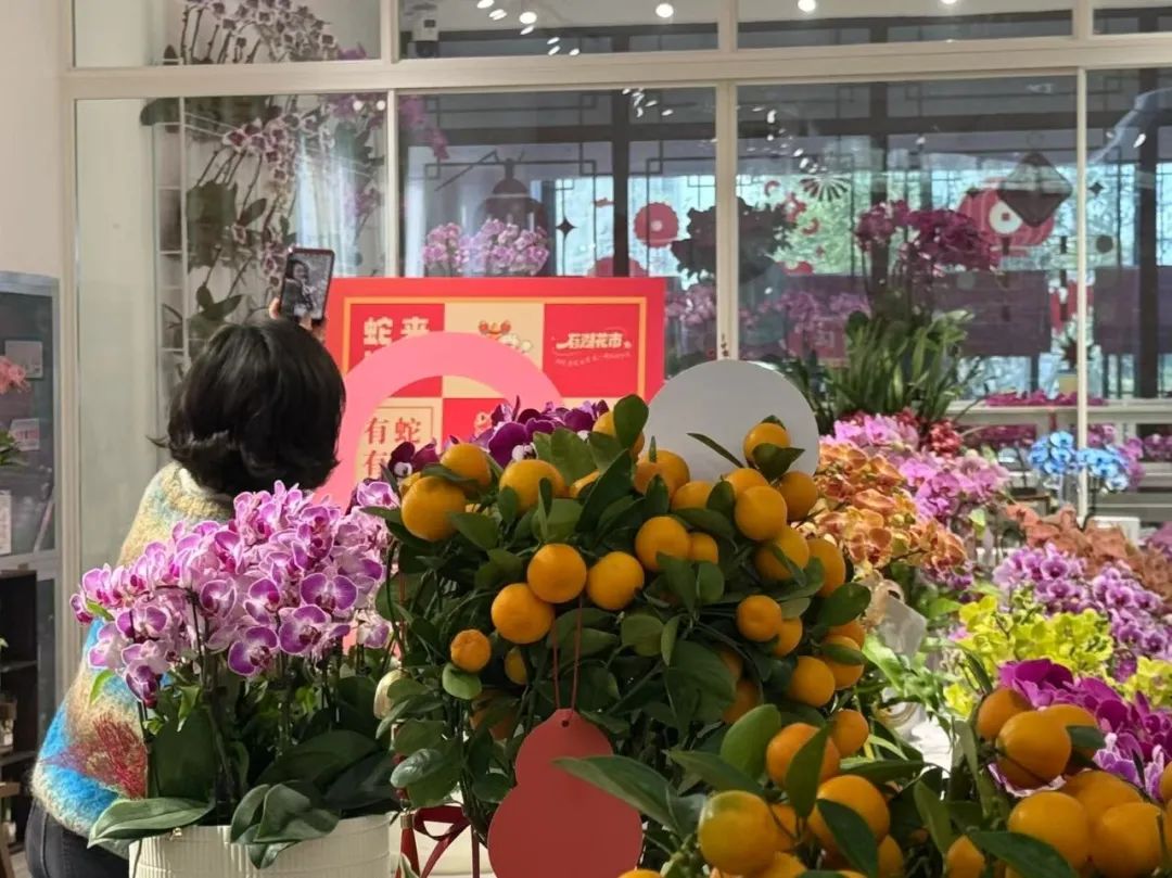 8dccf68881b9cbffa576d03e0d5cea2a 3.jpg