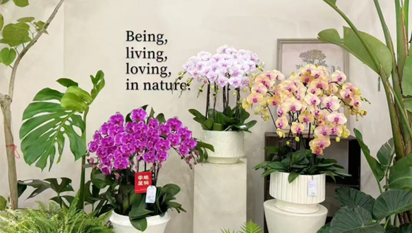 db3d58cedddec27e1fac4db3d989edb2